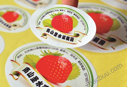 Nhãn decal dạng tờ