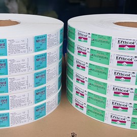 Nhãn cuộn dán máy tự động